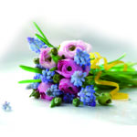 Editor 481 681083 gaensebluemchen