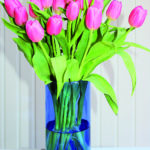 Editor 480 Tulpen 725611 original R by Rike pixelio