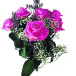 Editor 482 birthday 1192373 19203