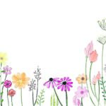 Editor 486 flower 2336287 12802