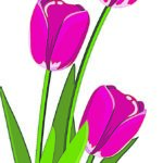 Editor 487 flower 2923492 12802