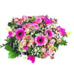 Editor 489 flower 3312831 19202