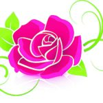 Editor 497 rose 398576 12802