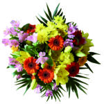 Editor 503 bouquet 3049026 1920 Kopie