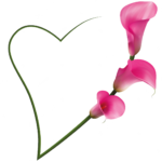 Editor 174 Calla im Herz