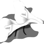 Editor 193 Calla mit Blatt liegend