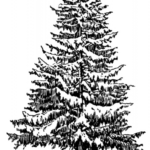 Editor 201 Tanne mit Schnee