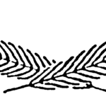 Editor 166 gekreuzte Federn