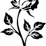 Editor 234 schwarze Rose